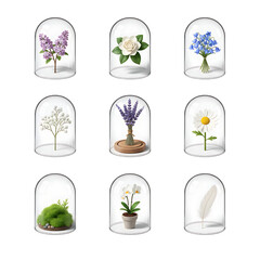 Collection of beautiful flowers and nature elements preserved under glass domes for display