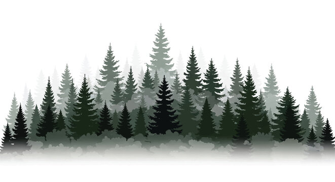 Flat 2D vector illustration of layered pine and spruce tree silhouettes forming a mysterious, dense foggy forest scene against a clean, plain white background.