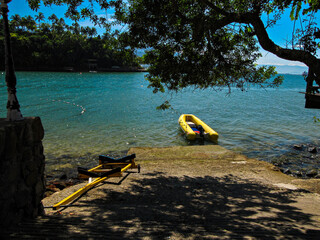 Tropical Beach with Golden Sand and Palm Trees in Ilhabela, Brazil