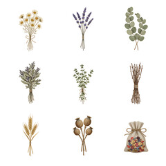 A botanical collection of illustrated dried herbs and flowers including lavender, chamomile, wheat, and poppy for rustic decor and aromatherapy
