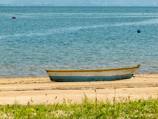 Tropical Beach with Golden Sand and Palm Trees in Ilhabela, Brazil