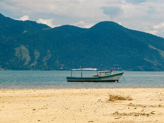 Tropical Beach with Golden Sand and Palm Trees in Ilhabela, Brazil
