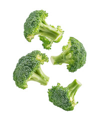 falling broccoli isolated on white or transparent png