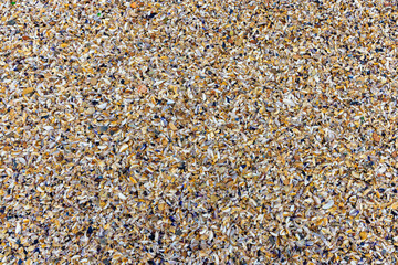 Close-up of the texture of a layer of coarse sand made of pieces of broken shells