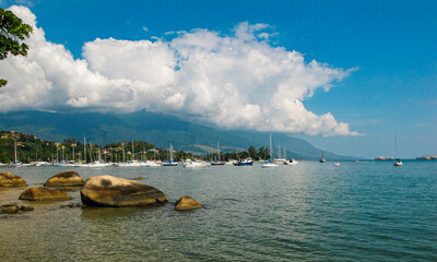 Tropical Beach with Golden Sand and Palm Trees in Ilhabela, Brazil