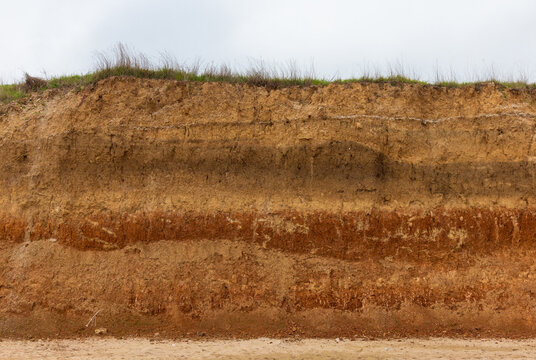A soil profile, which is a vertical cross-section of the soil layers. A chasm with different soil layers