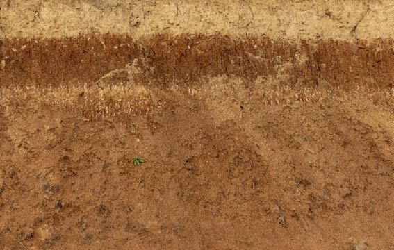 Close-up with a soil profile with distinct layers