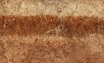 A soil profile, which is a vertical cross-section of the soil layers. A chasm with different soil layers