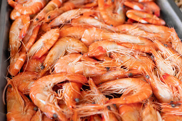 The king prawns on a display in a restaurant