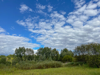 the green grassy bank of the Berezina River