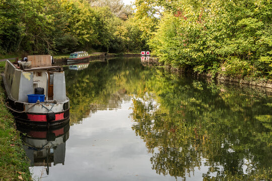 Boston Manor Park, a public park in the London Borough of Hounslow. It consist of woodland and open space, with part of the Grand Union Canal. Shot 30 September 2025.