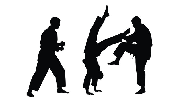 Martial arts silhouettes training karate taekwondo techniques