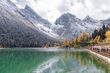 Mountain lake with emerald water snowy peaks golden larch trees and lakeside walkway reflecting autumn light at Bipenggou, China.