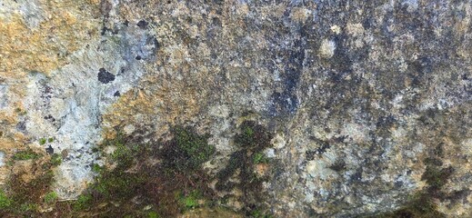 A close-up of a weathered stone etched by time, adorned with moss and lichen. Shades of gray, brown, and green whisper a quiet tale of vegetal colonization and slow transformation.