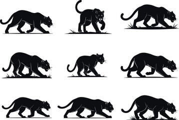Panther silhouettes walking and stalking, animal motion, stealth movement, wildlife pose, vector sequence, flavector