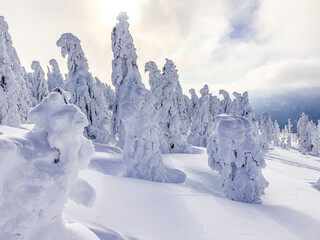 winter landscape in the mountains, Krkono&scaron;e