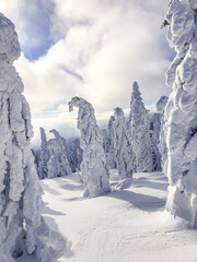 winter landscape in the mountains, Krkono&scaron;e