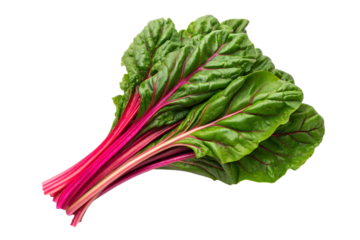 High-quality studio product shot of vibrant fresh Swiss chard, featuring lush green leaves and striking red stems, perfect for healthy culinary content