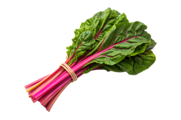 Fresh Rainbow Chard Bunch Isolated on White Vibrant Healthy Greens for Culinary and Nutritional Delights in Your Kitchen