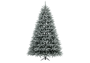 A magnificent, bare, silver-green fir tree (abies) shot in a minimalist medium composition against a transparent studio background with ample negative space. concept of clean holiday minimalism