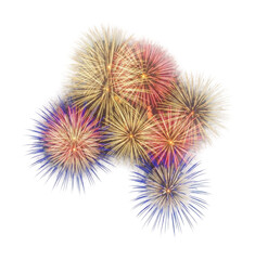 Vibrant fireworks display celebrating new year urban skyline night isolated on transparent background
