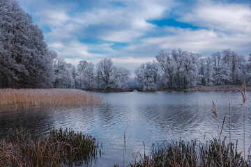 Spacer zimowy w Kartuzach 