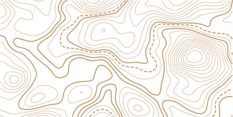 Black and white topographic map background. Topographic map lines. Monochrome topographic terrain lines with space for text. © AFROZAOPORNA