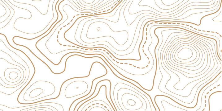Black and white topographic map background. Topographic map lines. Monochrome topographic terrain lines with space for text.