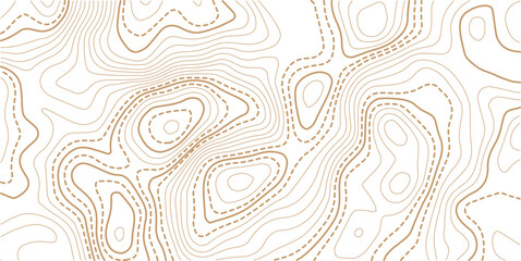 Abstract topo contour map on white background, Topographic map Topographic contour lines map seamless pattern.Topography background. Vector banner. 