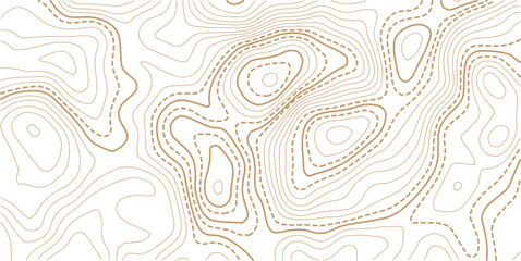 Luxury gold abstract topographic map background with golden lines texture,Mountain trail terrain or path. Vector illustration. © AFROZAOPORNA