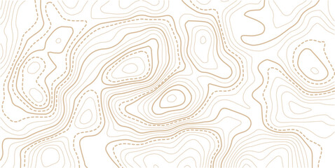 Luxury gold abstract topographic map background with golden lines texture,Mountain trail terrain or path. Vector illustration. © AFROZAOPORNA