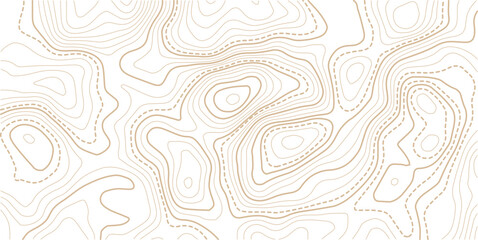 Luxury gold abstract topographic map background with golden lines texture,Mountain trail terrain or path. Vector illustration. © AFROZAOPORNA