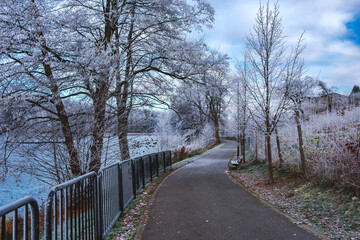 Spacer zimowy w Kartuzach 