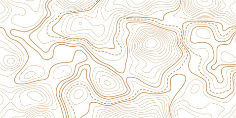 Abstract topo contour map on white background, Topographic map Topographic contour lines map seamless pattern.Topography background. Vector banner. 