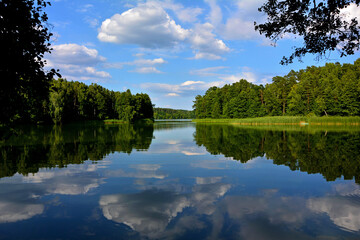 jezioro w lesie, spokojne jezioro, błękitne niebo z białymi chmurami odbijajace się w spokojnej tafli jeziora, lake in the forest   © kateej