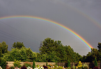 kolorowa tęcza na burzowym niebie nad drzewami i ogrodem, Colorful rainbow in a stormy sky over sunny garden with flowers and trees   © kateej