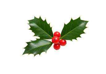 a macro close-up of a pristine mistletoe sprig with deep emerald leaves and three ruby red berries, isolated on a brilliant white high-key studio background with soft shadow. concept for