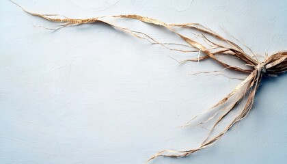 A bundle of dry, thin, frayed twine tied together on a textured, light blue-gray surface. The twine extends outwards with wispy strands. Soft, natural light ill