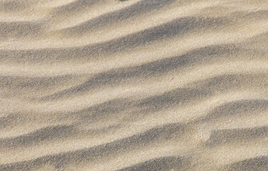 Close-up view of wind-swept sand, specifically small-scale ripples formed on a sandy surface. Small sand waves