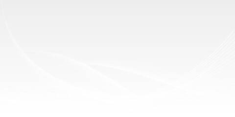 Naklejka premium White abstract background with luxury wave lines elements vector EPS10