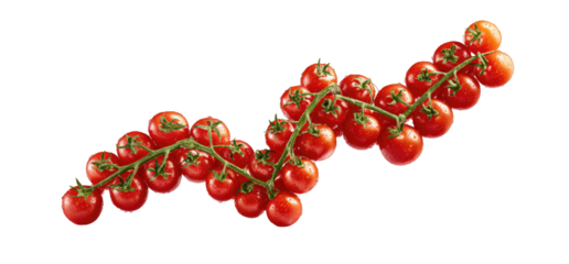 Fresh cherry tomatoes on the vine, ripe red