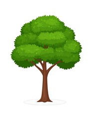 A cartoon illustration of a deciduous tree with a brown trunk, branches and lush, green foliage, casting a white shadow