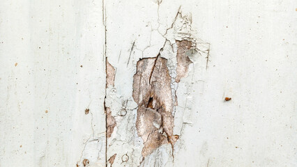 Close-up texture of old white paint peeling and cracking on wooden planks, revealing the damaged wood underneath. A detailed grunge background for design and abstract concepts of decay and aging.