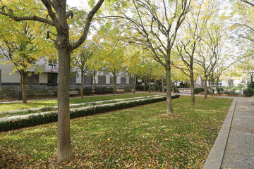 Le parc Villemessant, parc public, ville de Enghien les Bains, d&eacute;partement du Val d'Oise, France