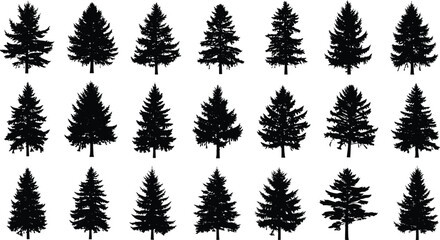 Conifer tree silhouette illustration set, varied shapes, black vector, forest design, evergreen species, botanical theme, nature artwork