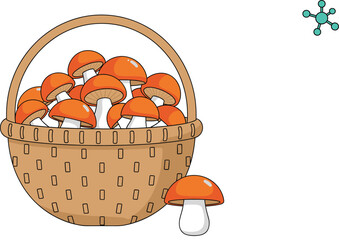 Wicker basket overflowing with freshly picked orange mushrooms, symbolizing autumn harvest, wild food gathering, organic ingredients, nature trip, and seasonal cooking