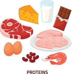 Protein Food Group Illustration