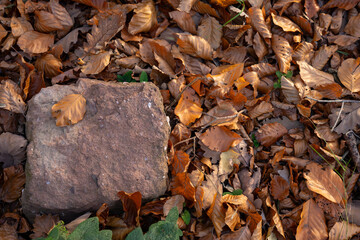 Close up overhead view of a red sandstone block resting on dry brown autumn leaves with a single small withered leaf lying on top of the stone