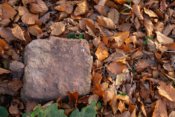 High angle view of a rough square reddish stone block lying on the ground surrounded by dry brown...