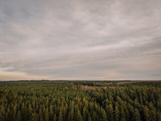 Expansive view of lush evergreen forest under a cloudy sky, showcasing the beauty of nature and...